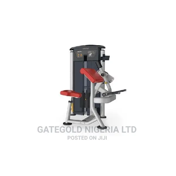 It9503 Arm Curl