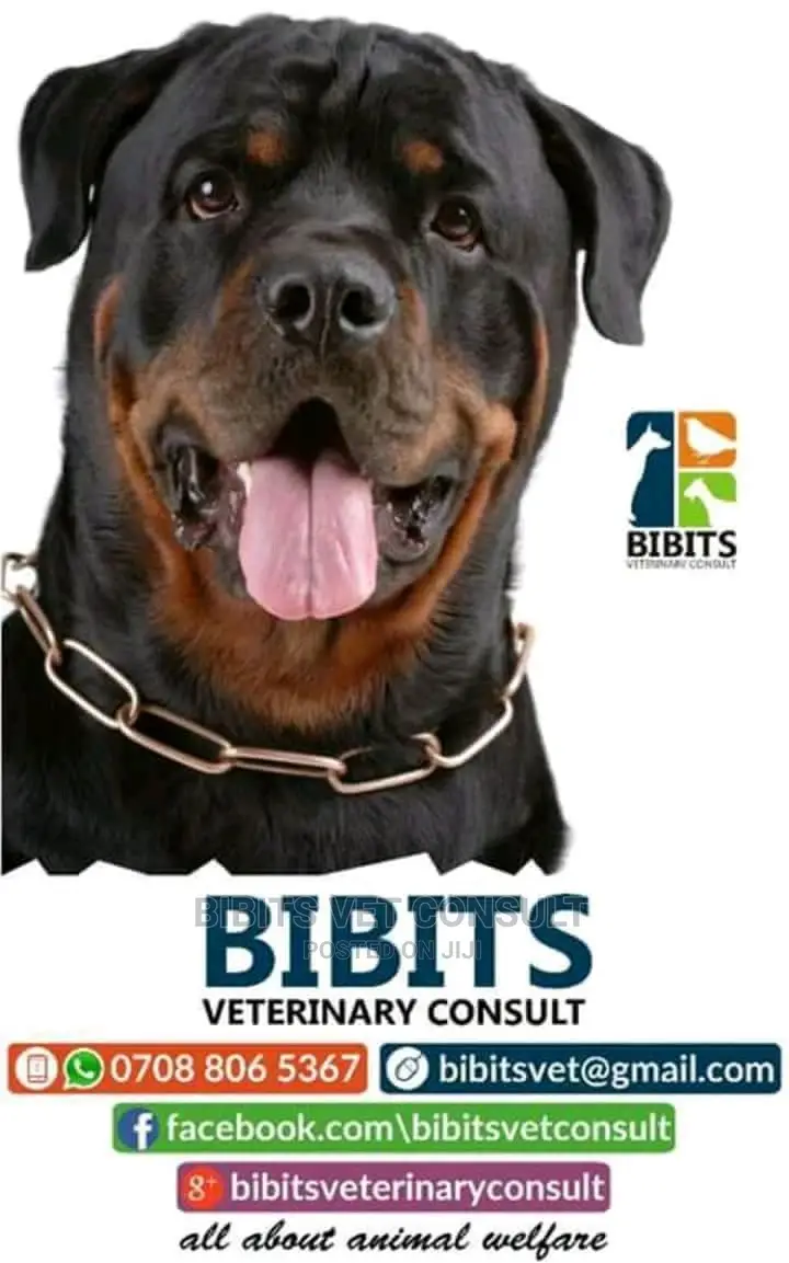 Veterinary Clinic Pet Shop