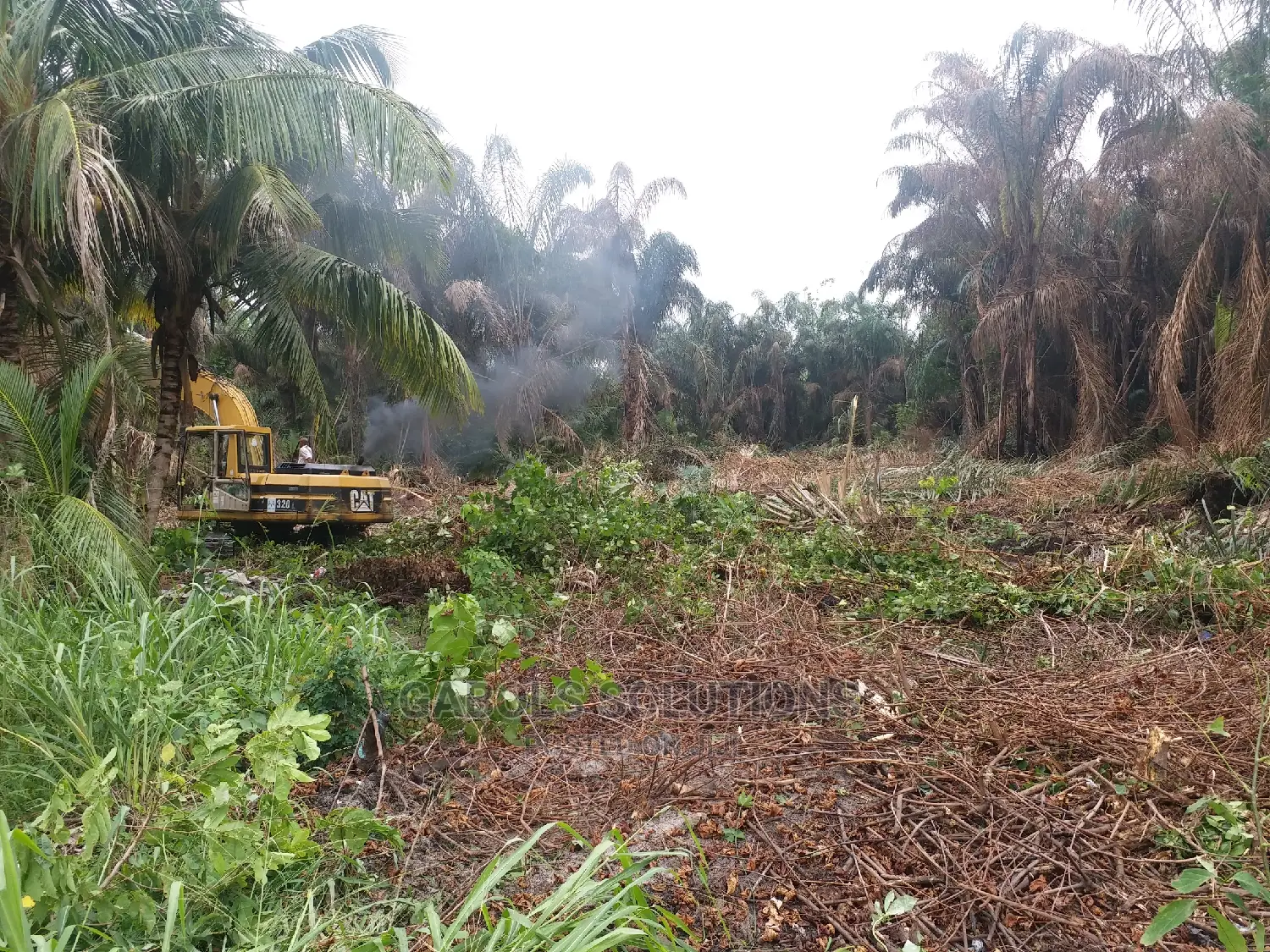 Bush Clearing Works