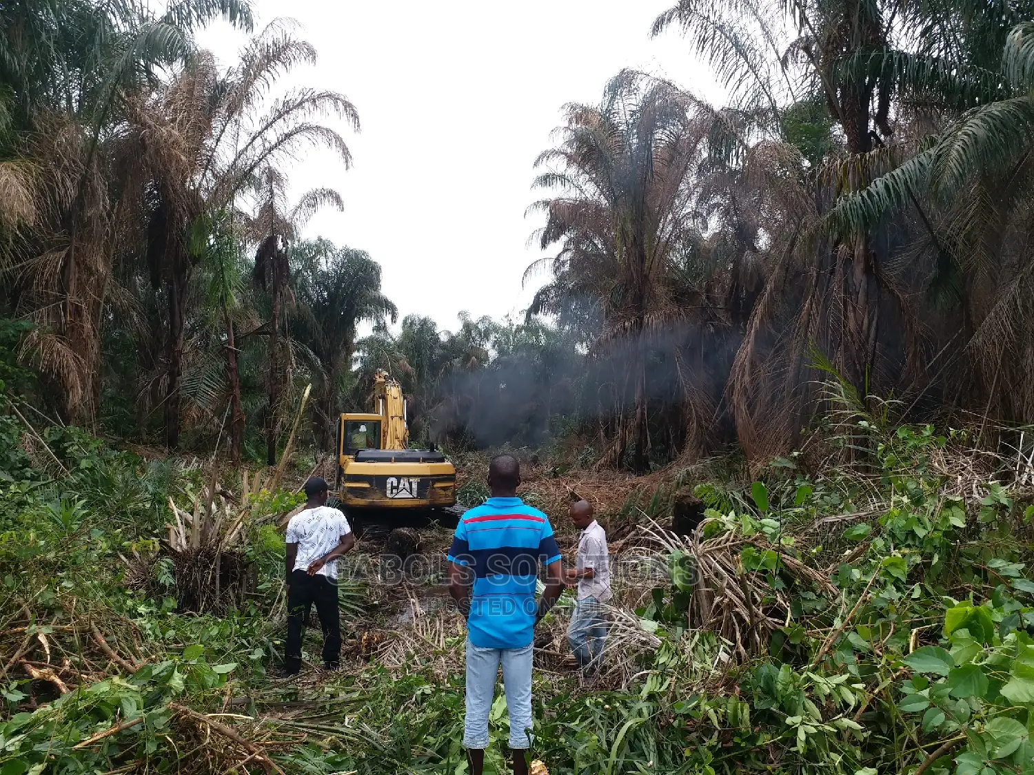 Bush Clearing Works