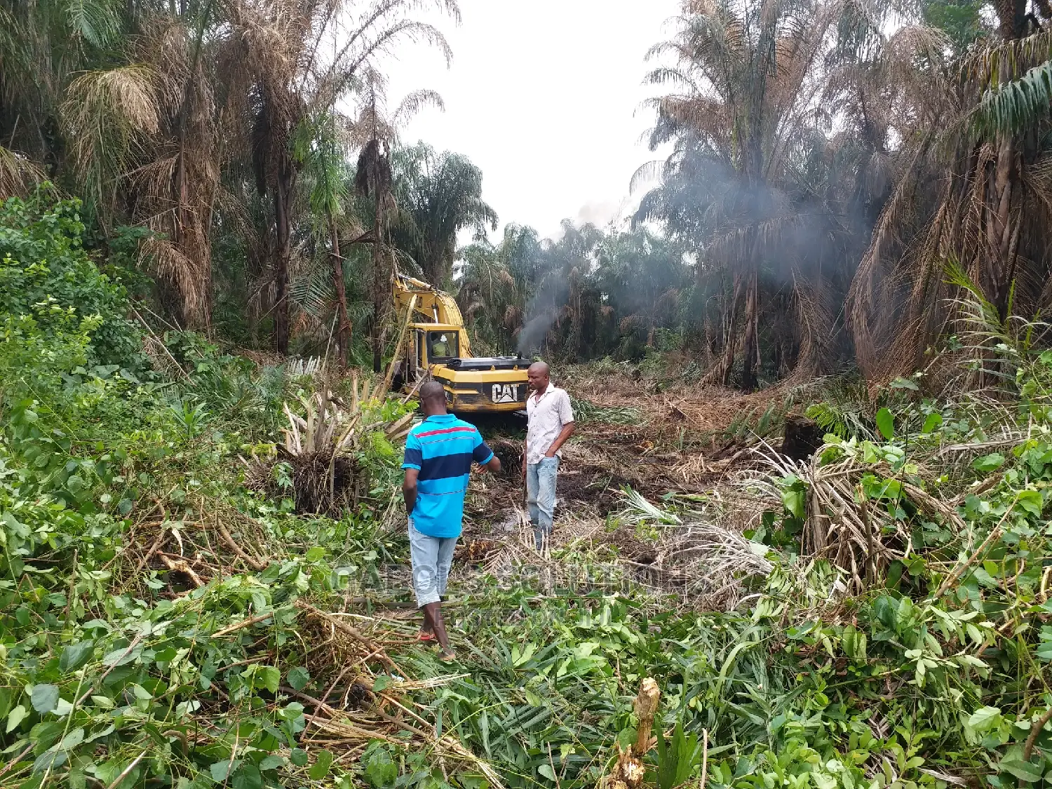 Bush Clearing Works
