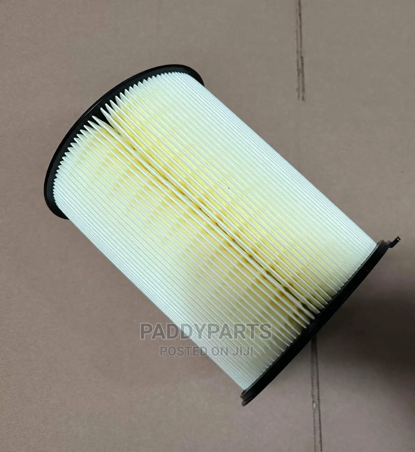 Ford Escape Air Filter (2013)