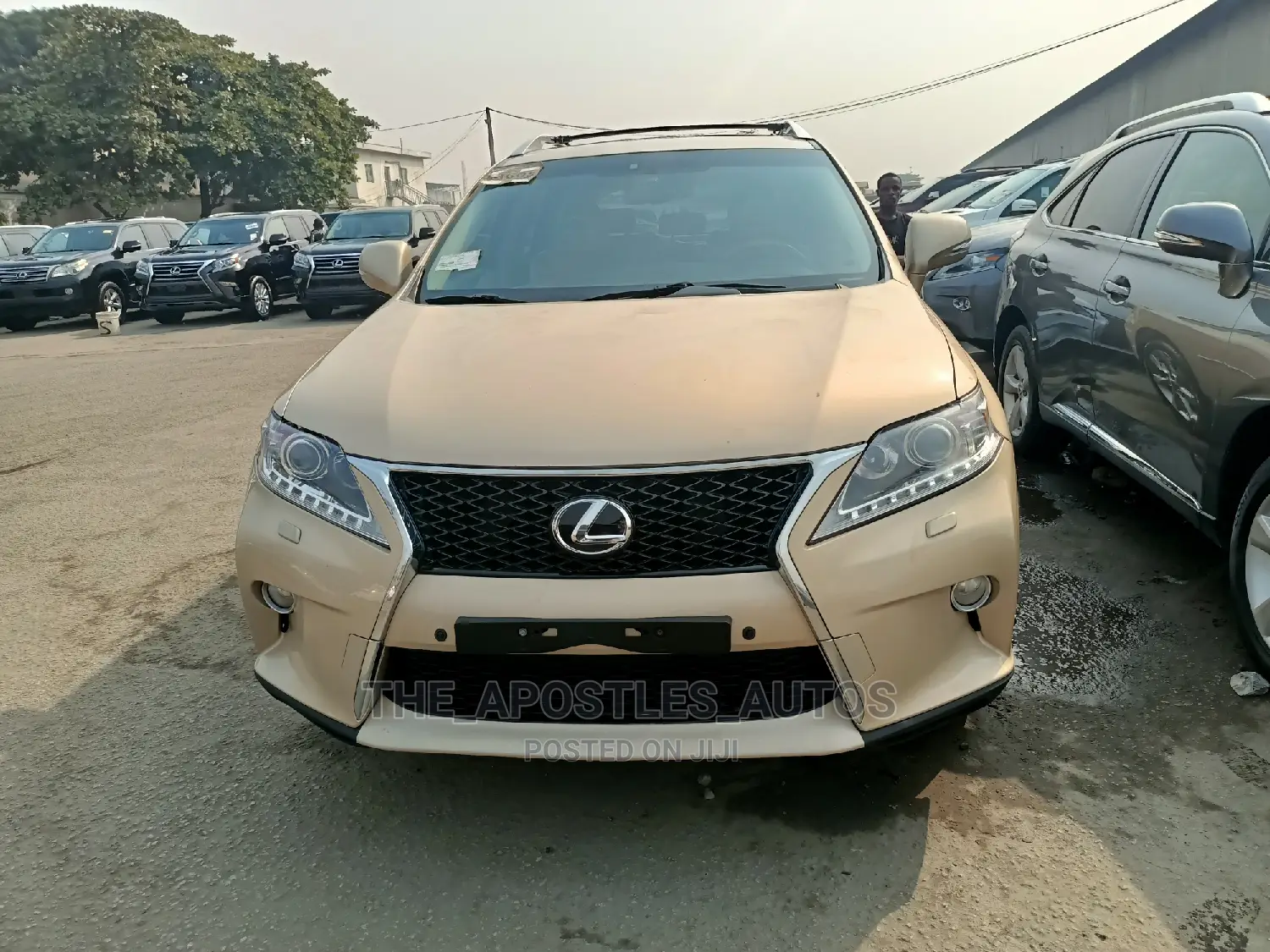 Lexus RX 350 2010 Gold