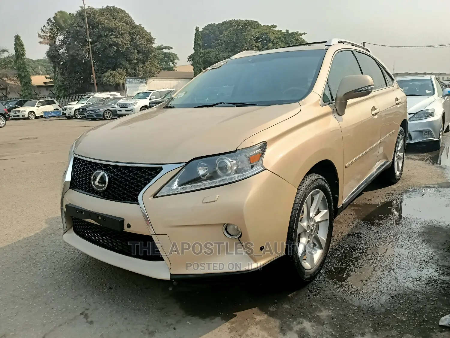 Lexus RX 350 2010 Gold