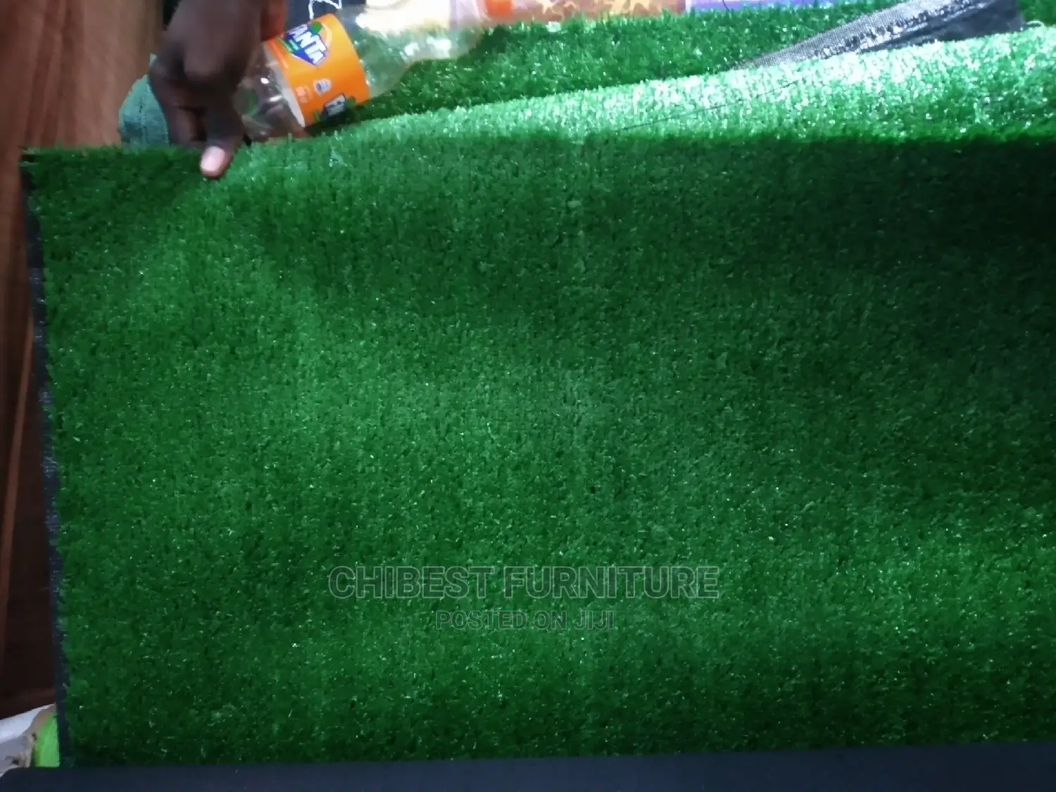 Quality Imported Carpet Grass for Indoor and Outdoor Use