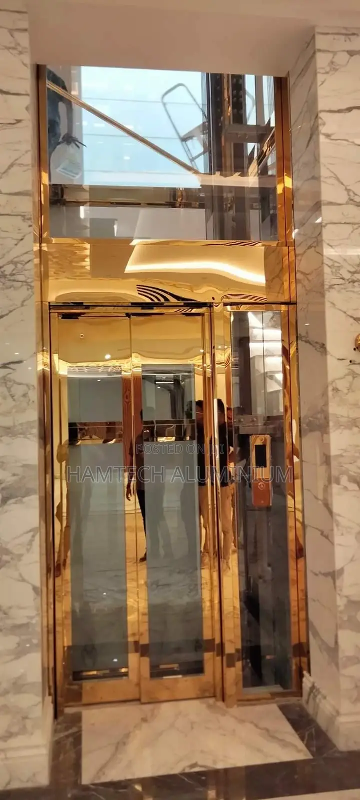 Stainless Mirror Gold Door