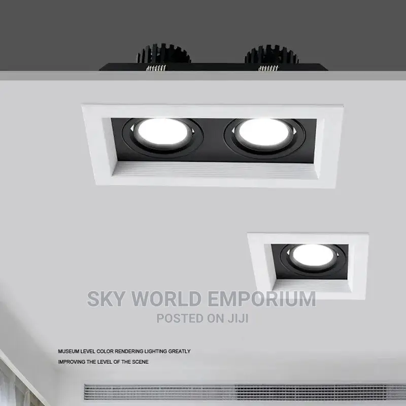 Double Head Opening Recessed Down Light