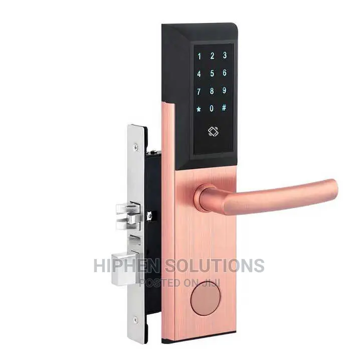 RFID Hotel Door