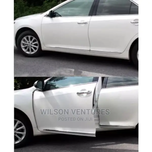 Lexus Rx330 Door Body Chrome