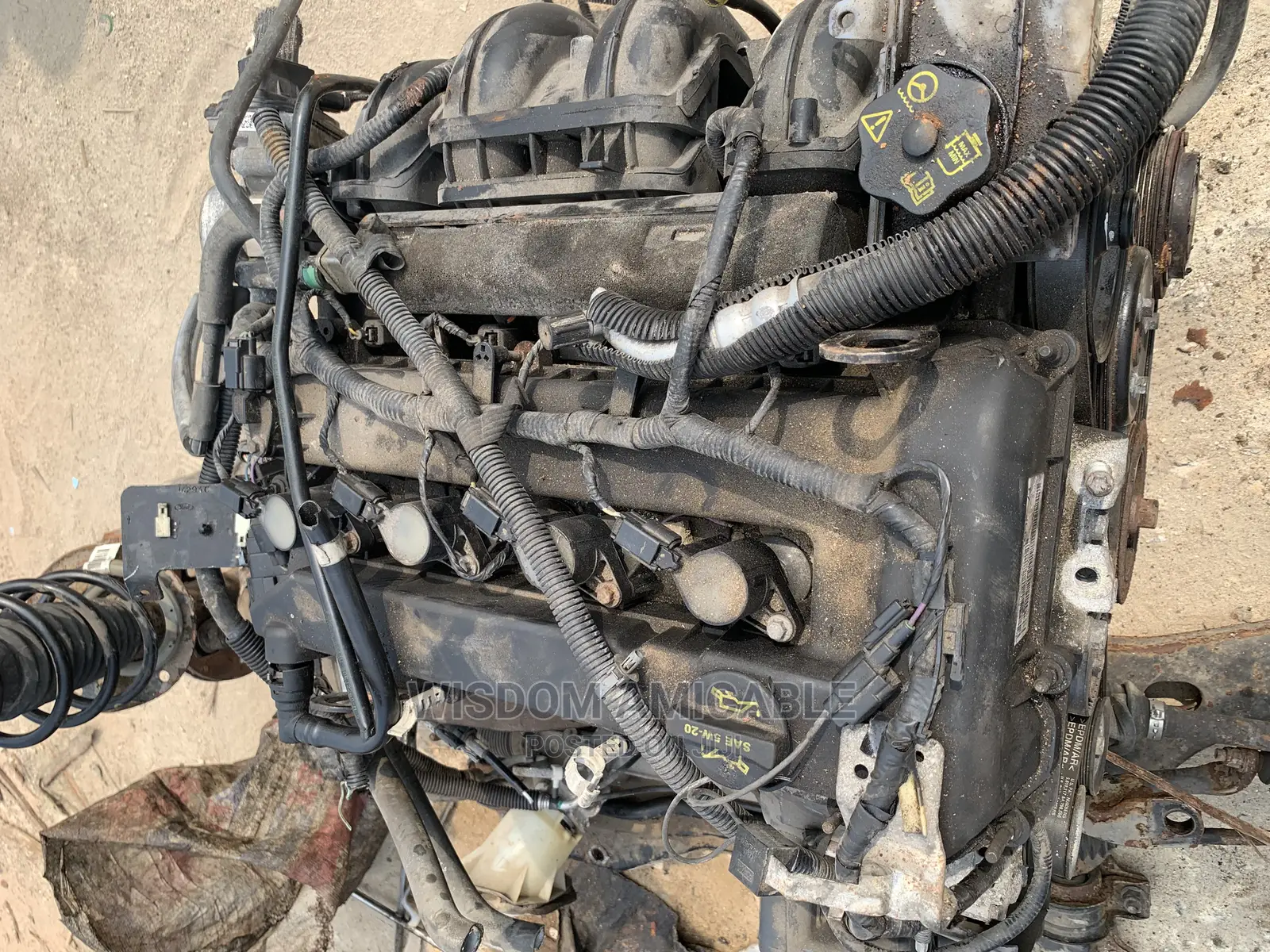 Complete Engine Focus 2.0 2004