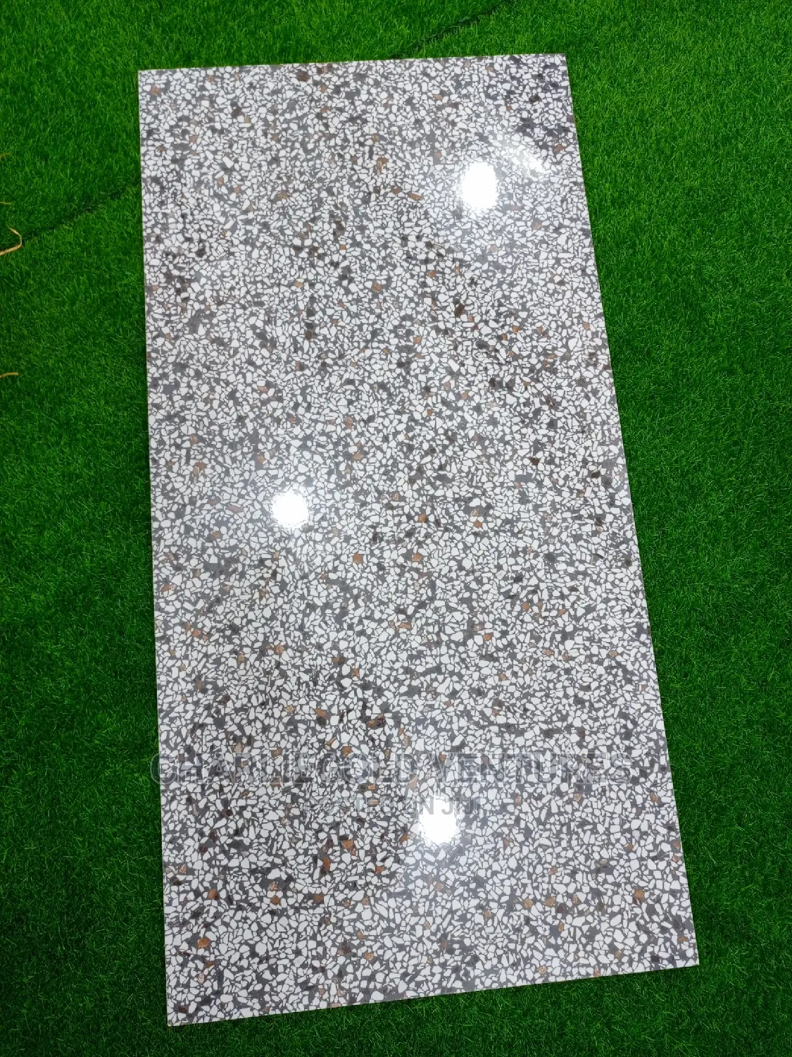 Dinner Seletion and Sitting Room Floor Tiles