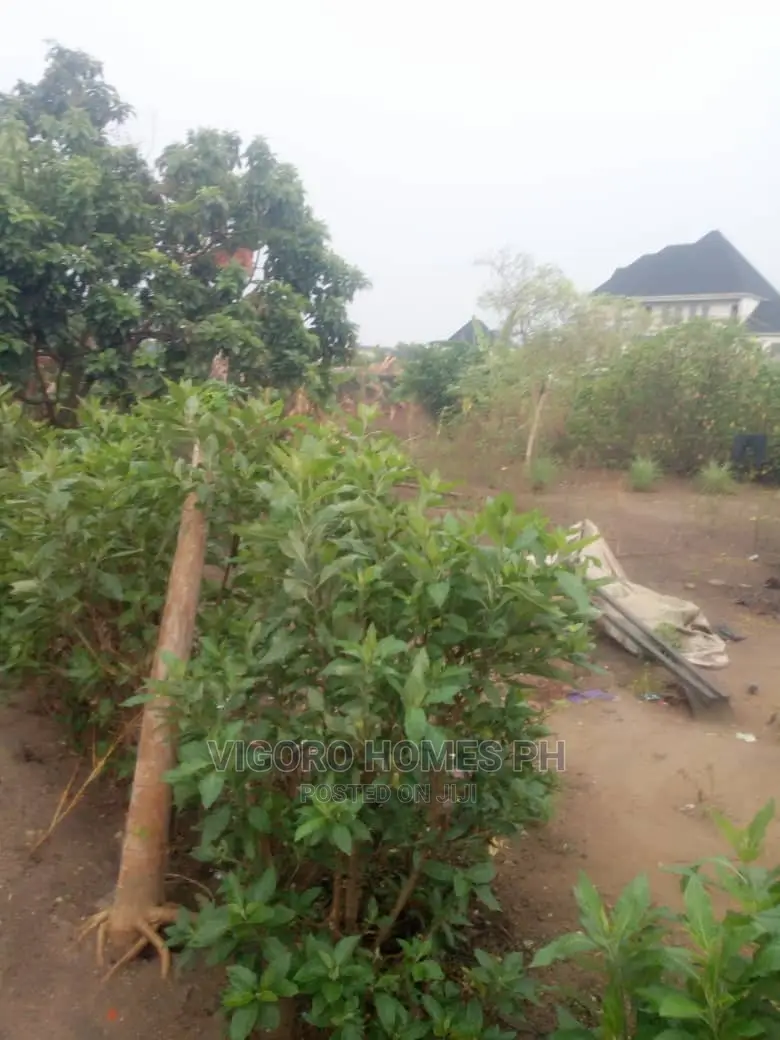 Estate Land