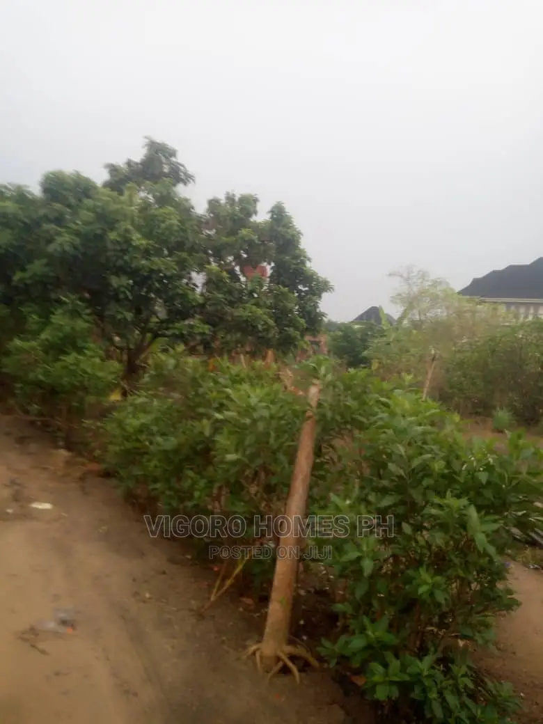 Estate Land