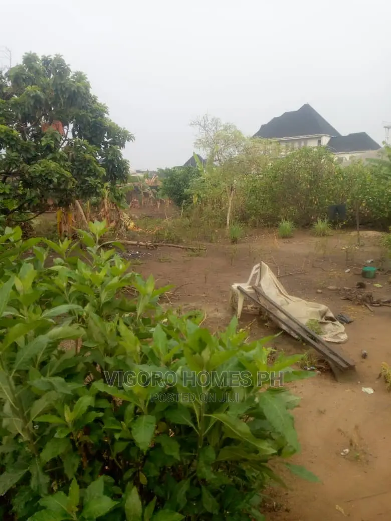 Estate Land