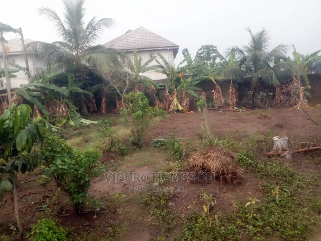 Estate Land