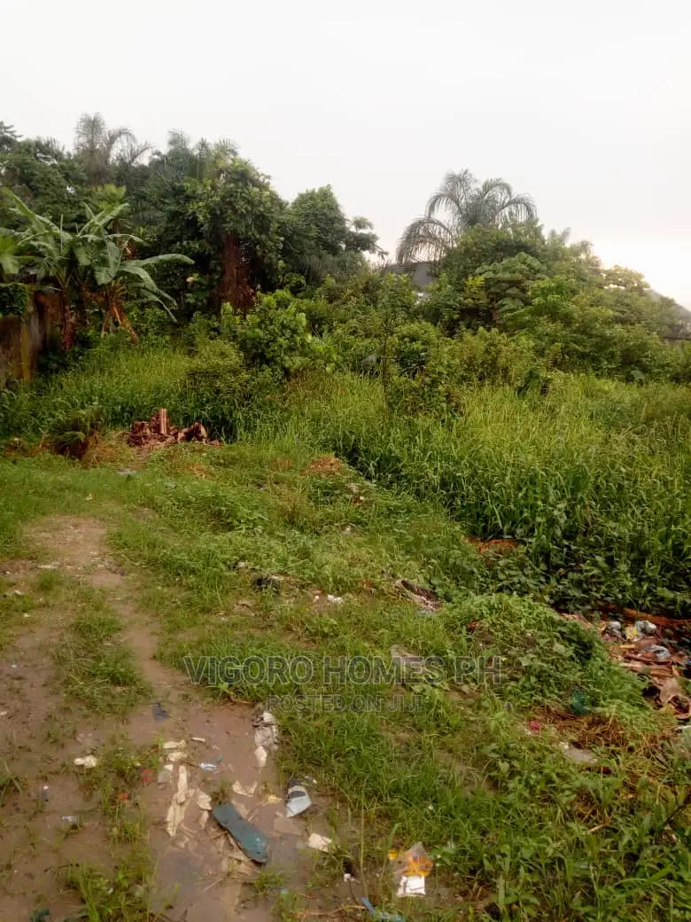 Land in a Busy Area