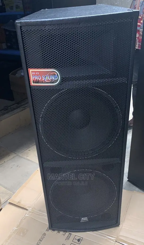 15” Double Professional Audio Speaker