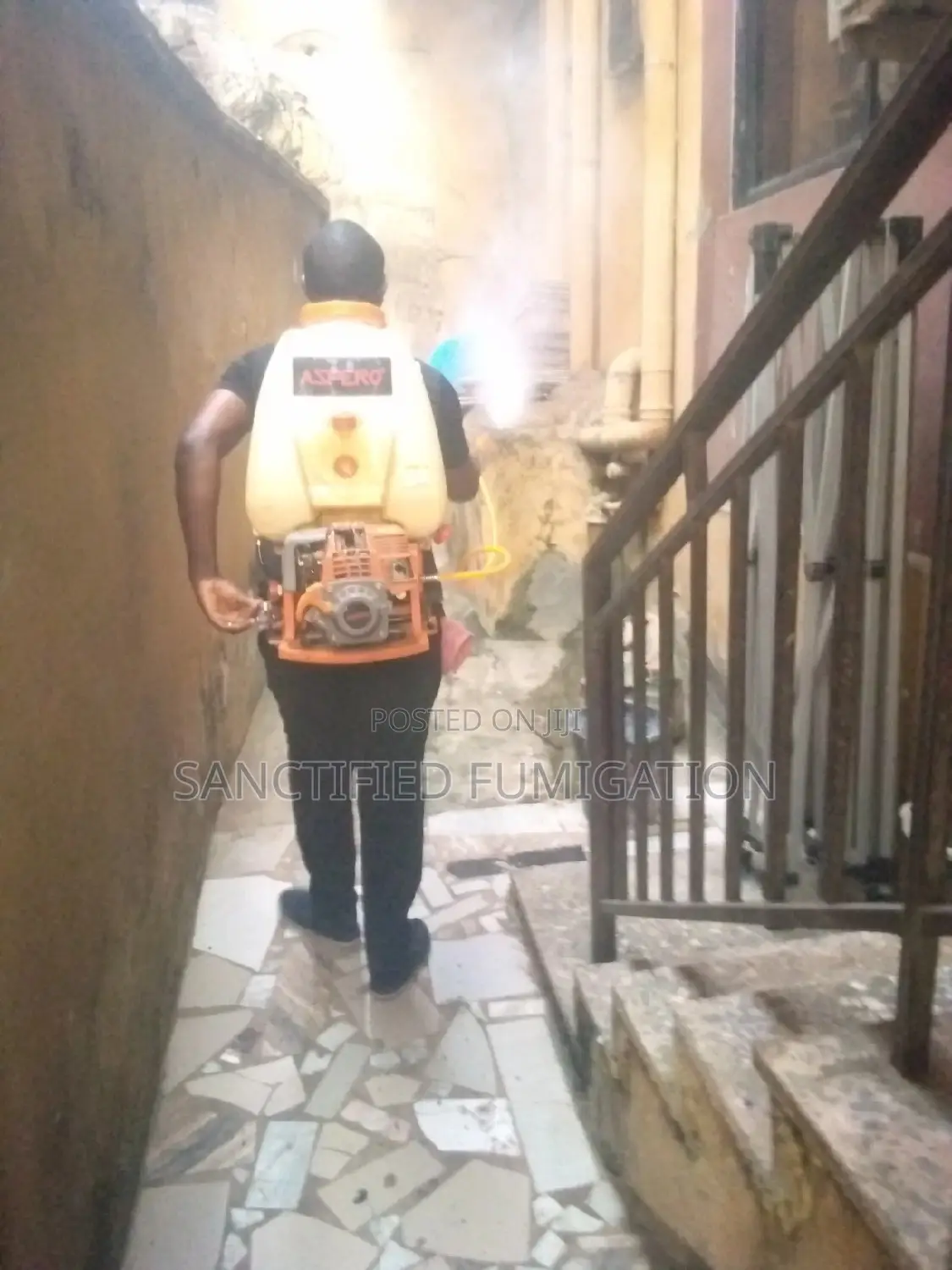 Shopping Mall Fumigation Service