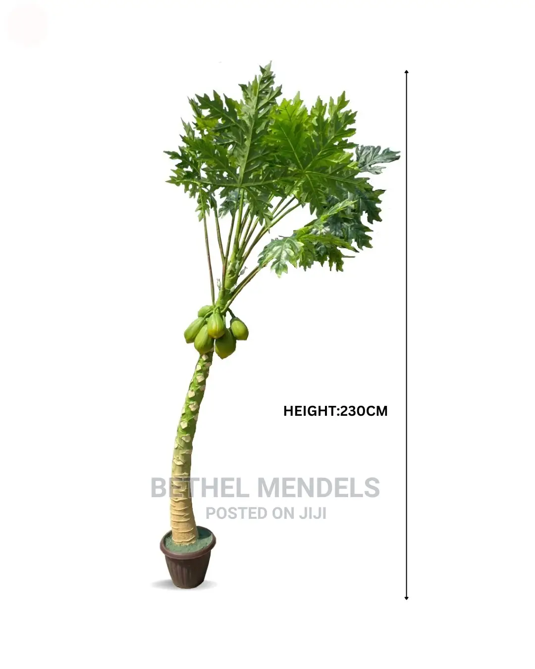 Papaya (Pawpaw) Artificial Potted Plants and Flowers