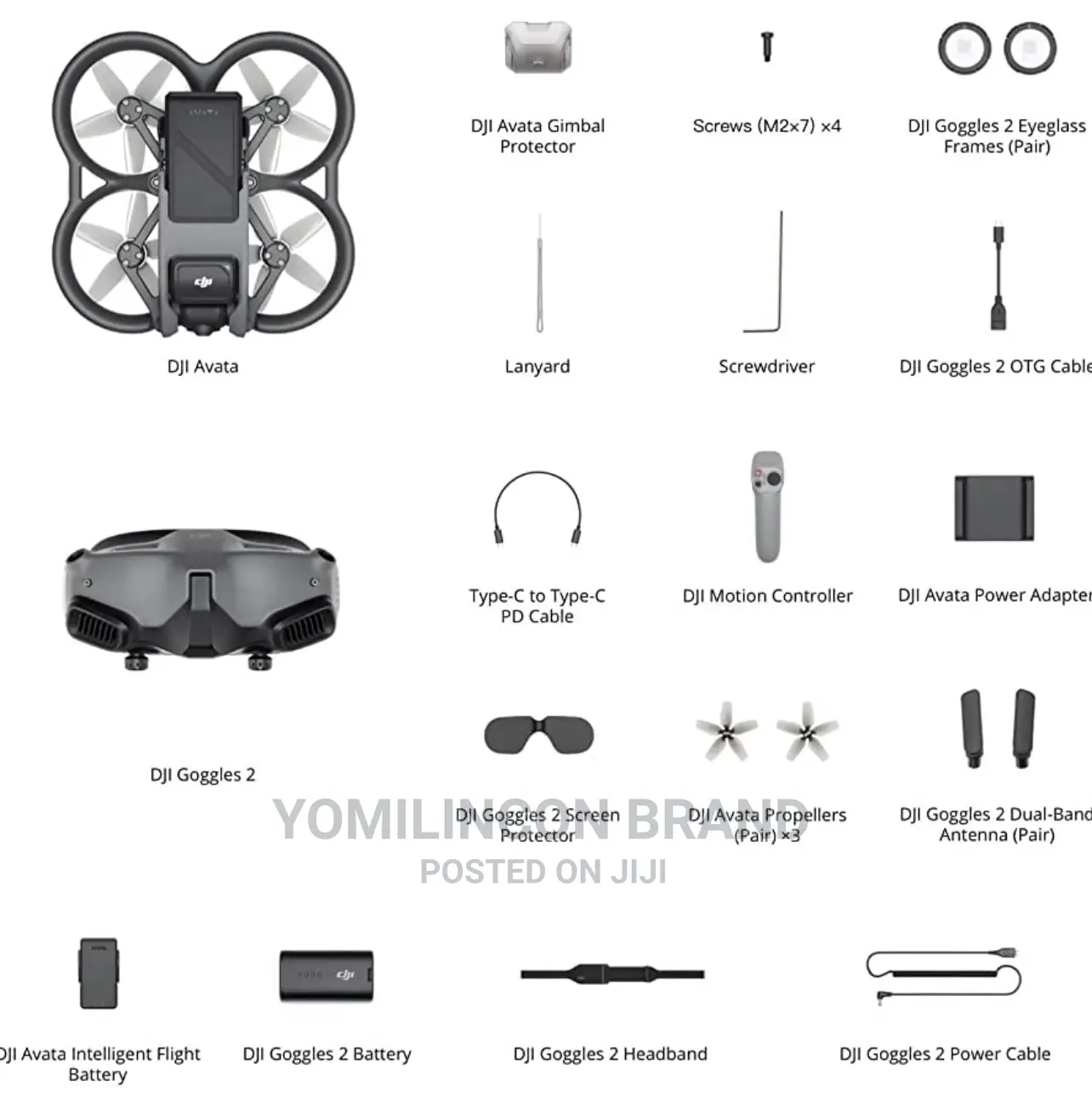 DJI Avata Pro-View Combo (DJI Goggles 2)