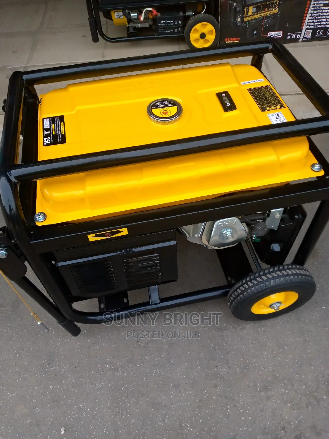 Elepaq Constant 10 Kva Copper Coil