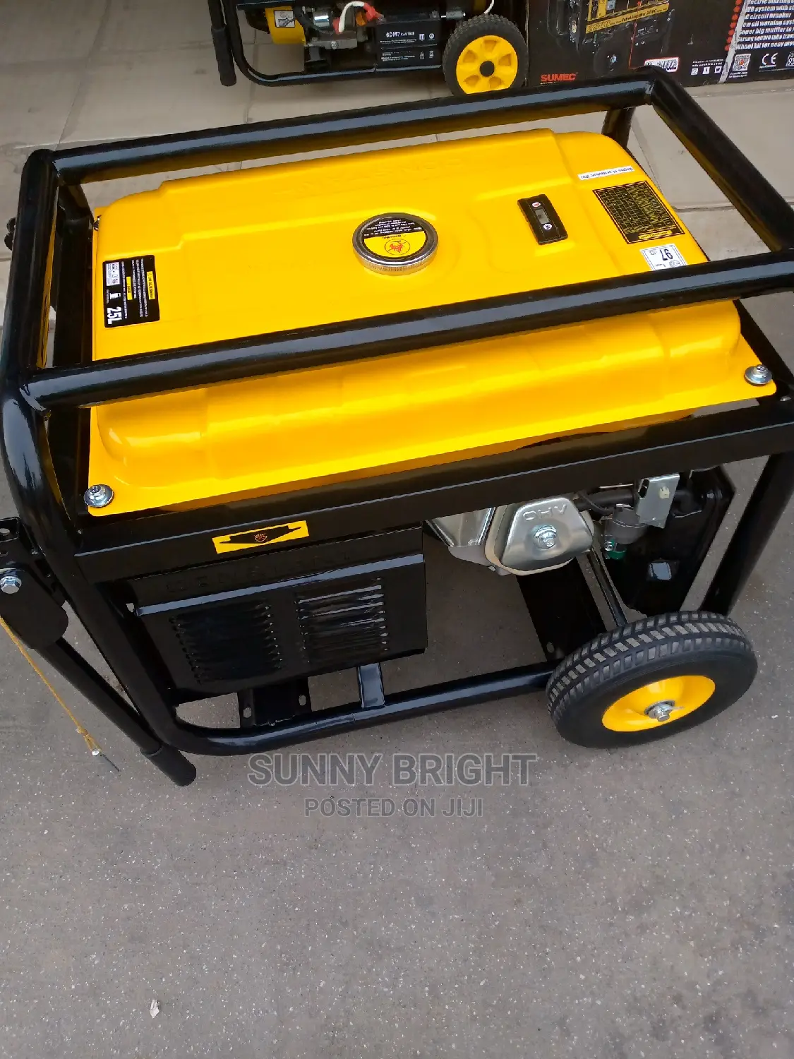 Elepaq Constant 10 Kva Copper Coil