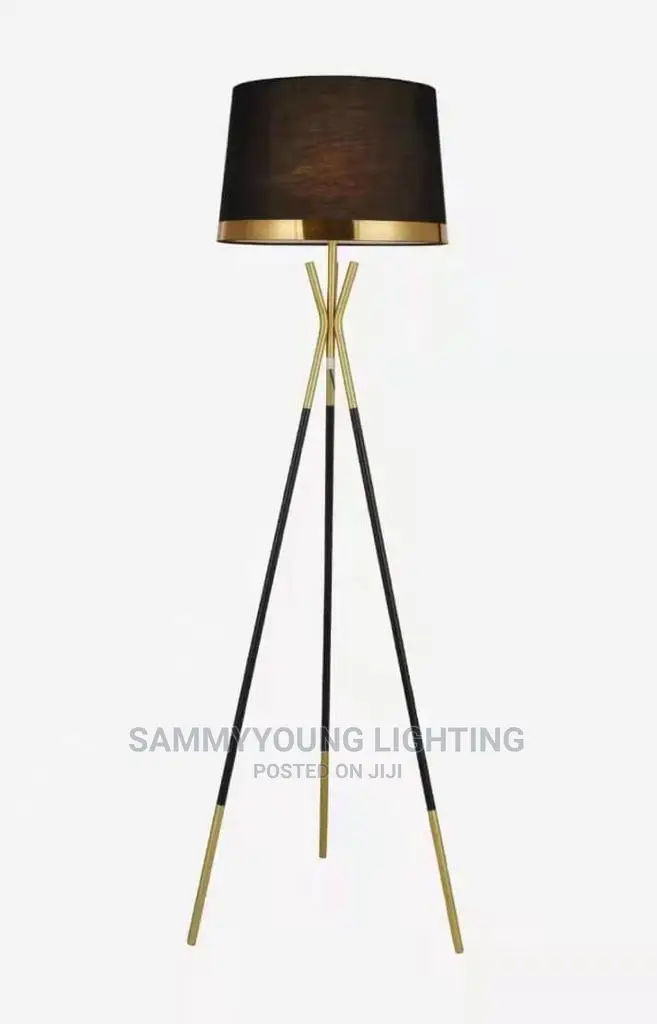 Quality Luxury Standing Lamp Light