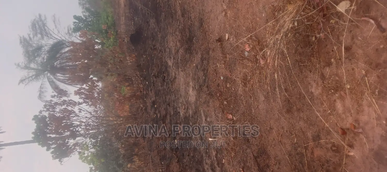 One Plot of Land for Sale at Avinaproperties Eziobodo