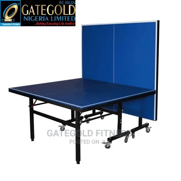 Outdoor Table Tennis (With Net and Cover) Dq-T002a