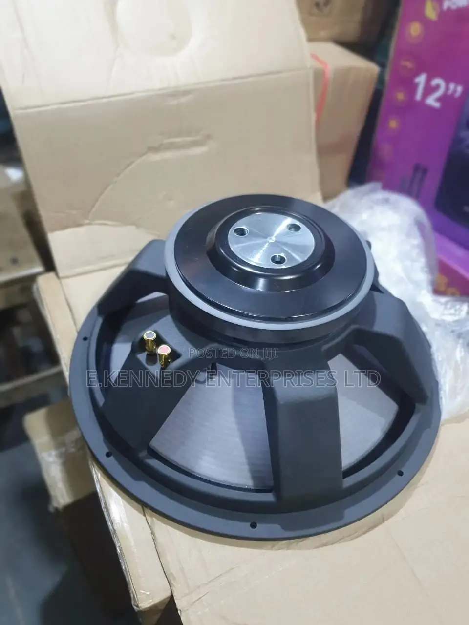 Professional 18" Inches Stock Naked Speaker