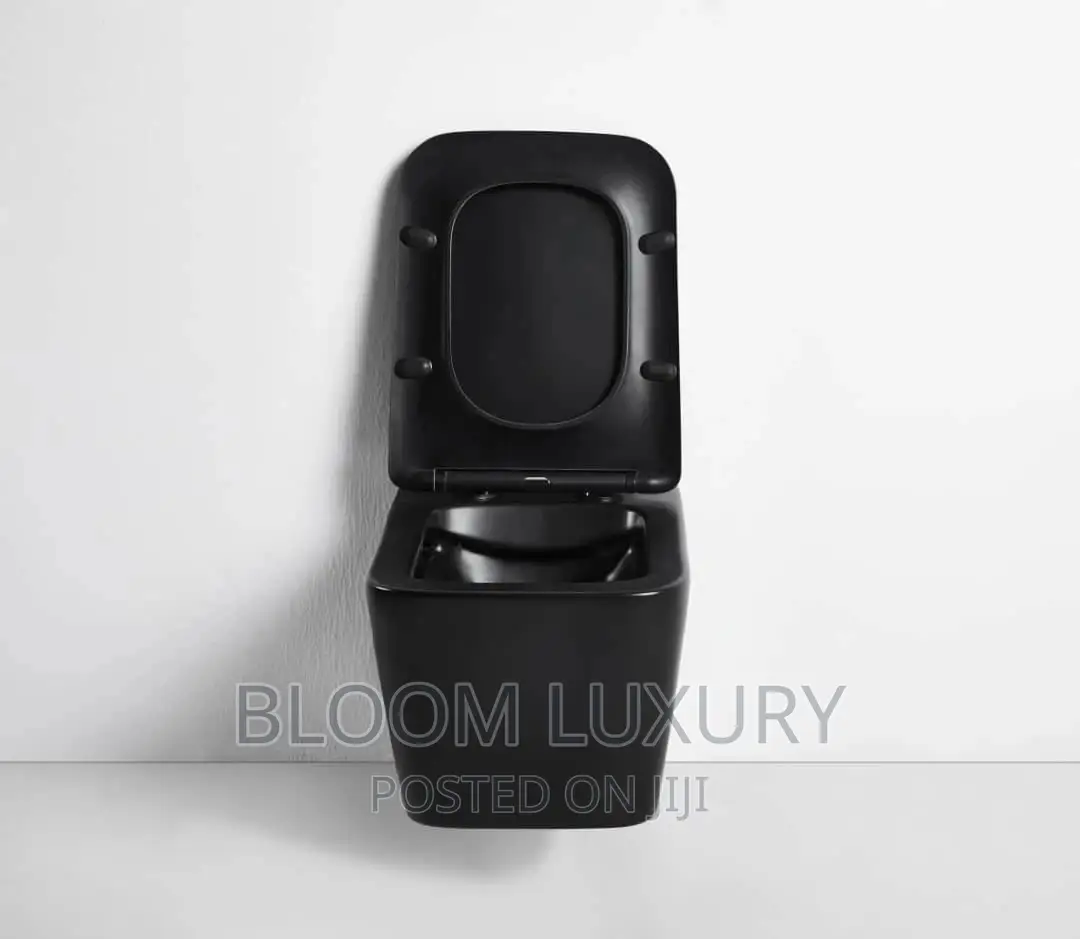 Black Wall Hang Conceal Toilet