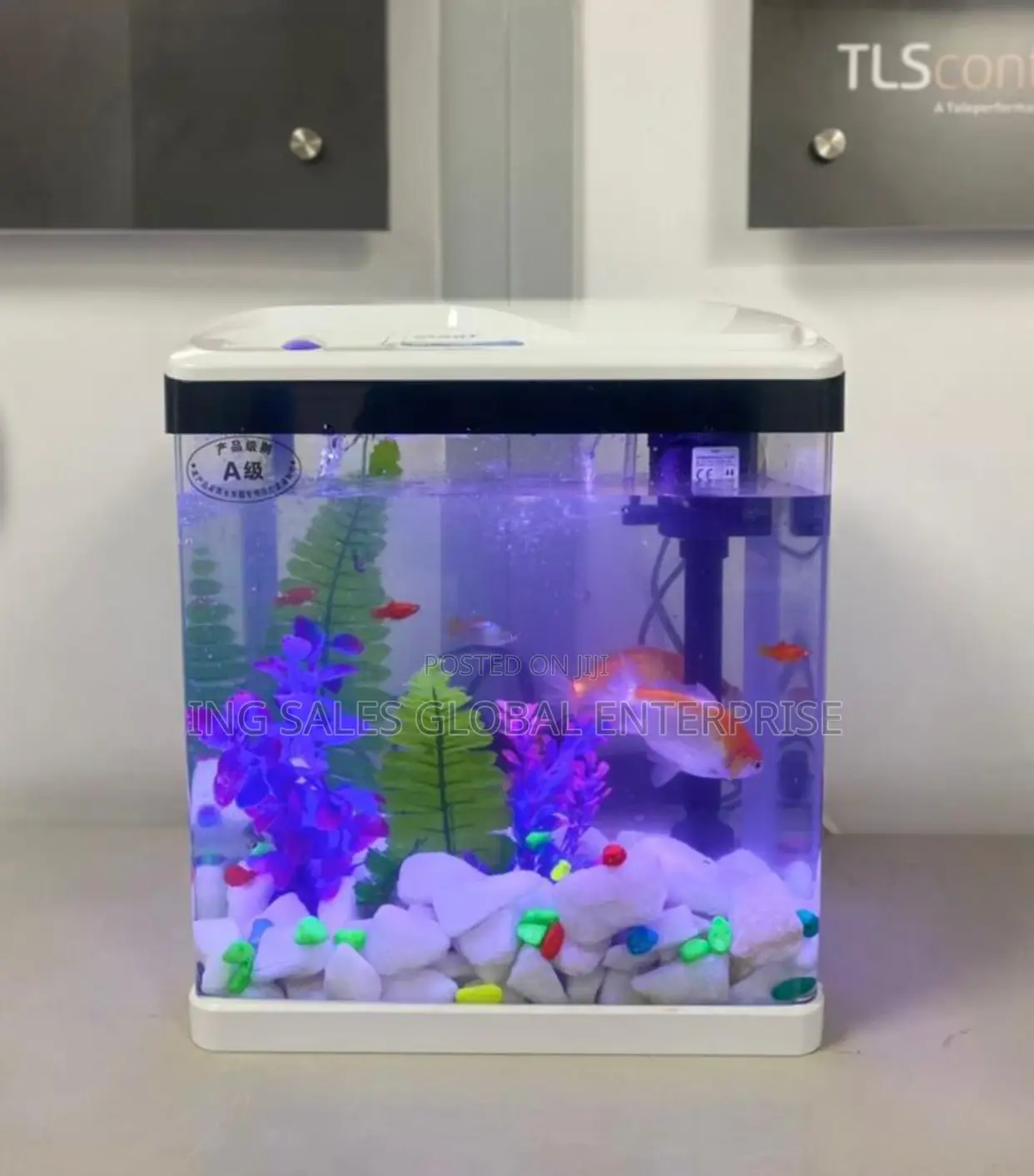 Aquarium + Decor and Fish - 9 Liters - 240x165x280mm - White
