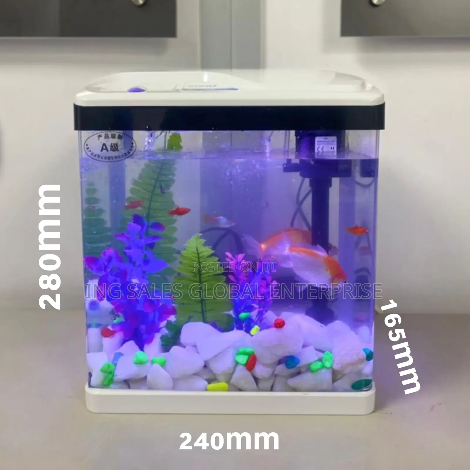 Aquarium + Decor and Fish - 9 Liters - 240x165x280mm - White