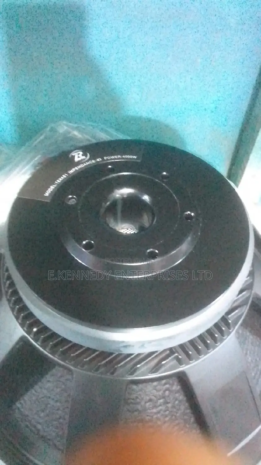 4000w Professional 18 Inch Naked Speaker (Thick Cone)