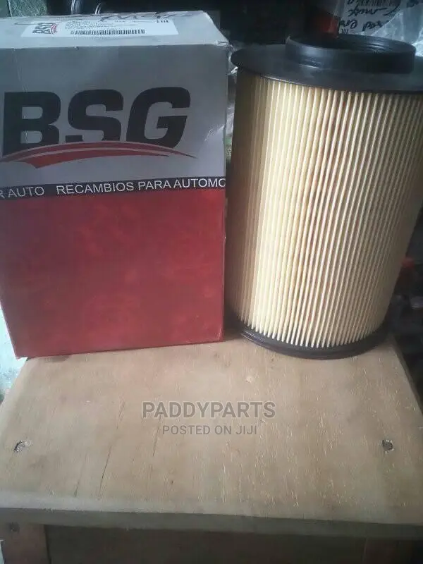 Ford Escape Air Filter (2013-2019)