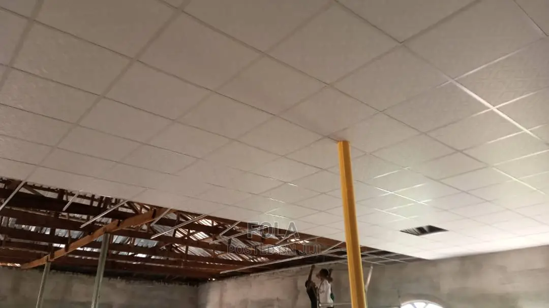 Suspended Ceilings With Grids