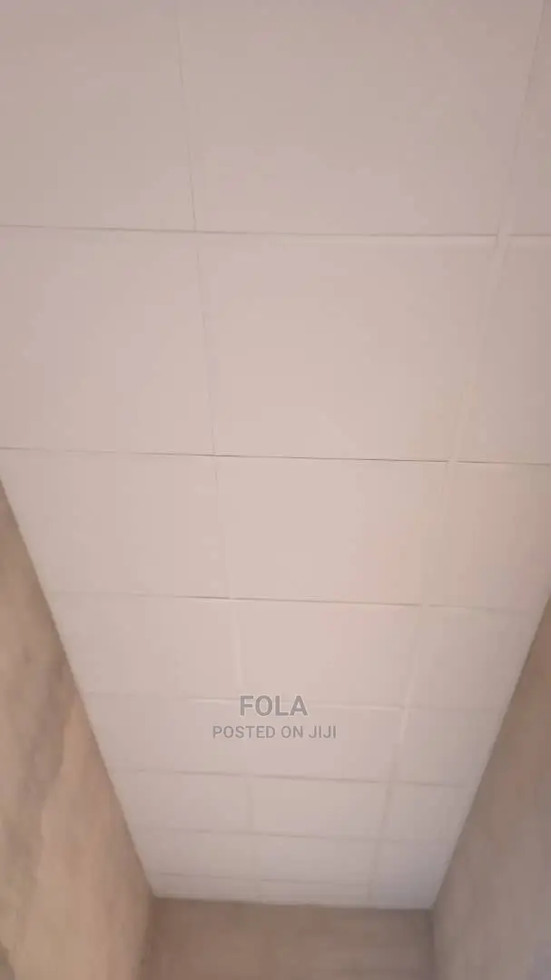 Suspended Ceilings With Grids