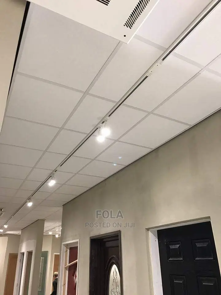 Ceiling Tiles With Grids