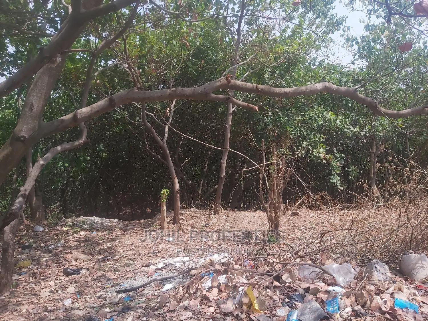 35 Hectares Commercial (Park) Land for Sale at Katampe Main