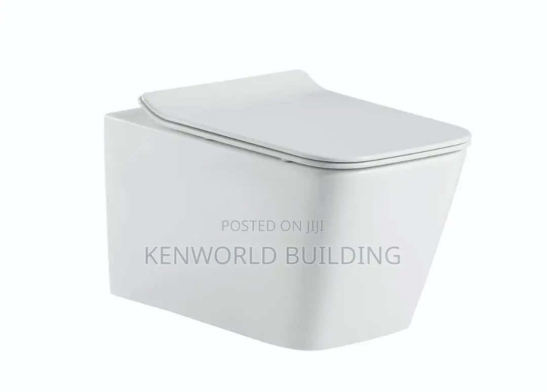 Single Executive Wall Hung Wc