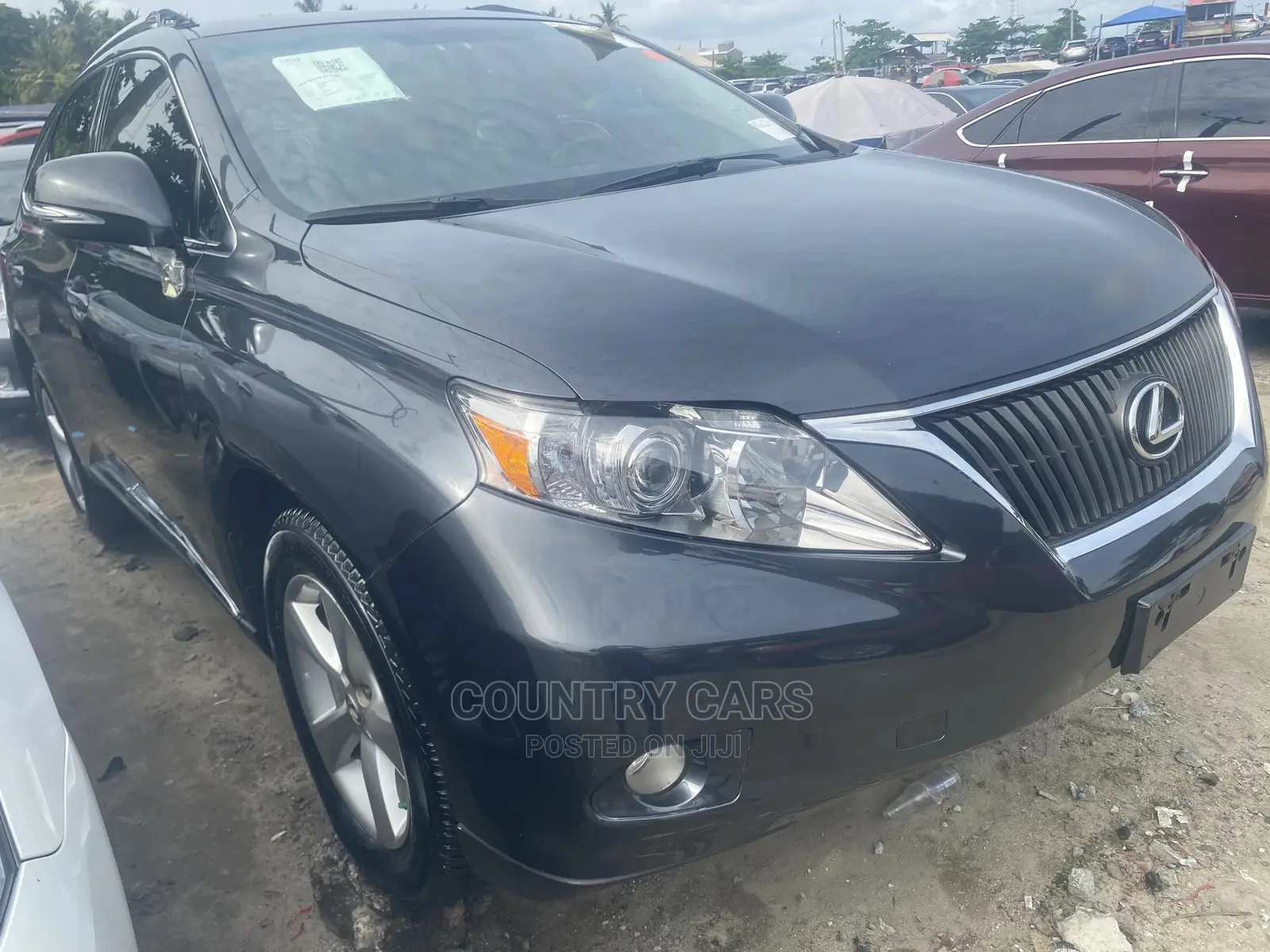 Lexus RX 350 2010 Gray