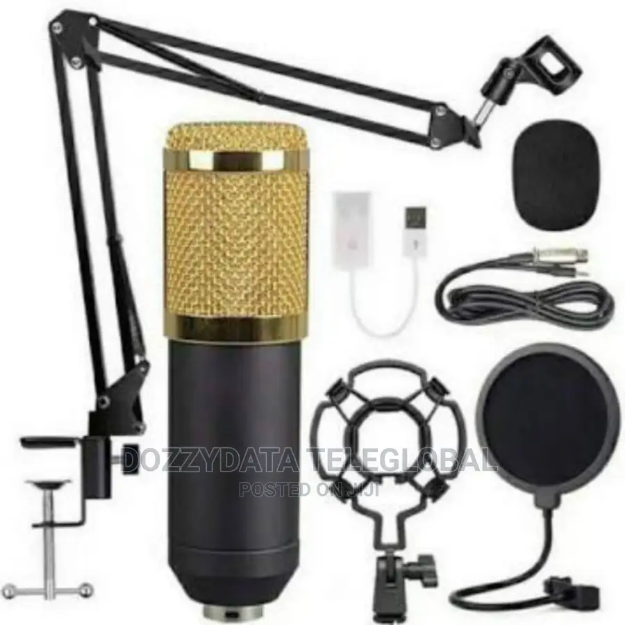 Professional Condenser Microphone