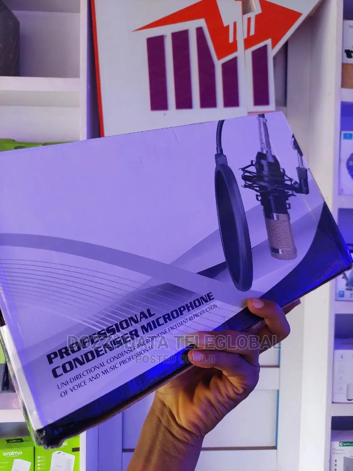 Professional Condenser Microphone