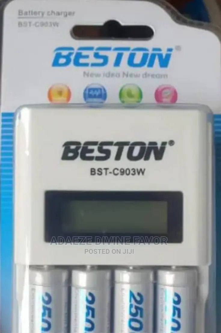 Beston Battery Charger