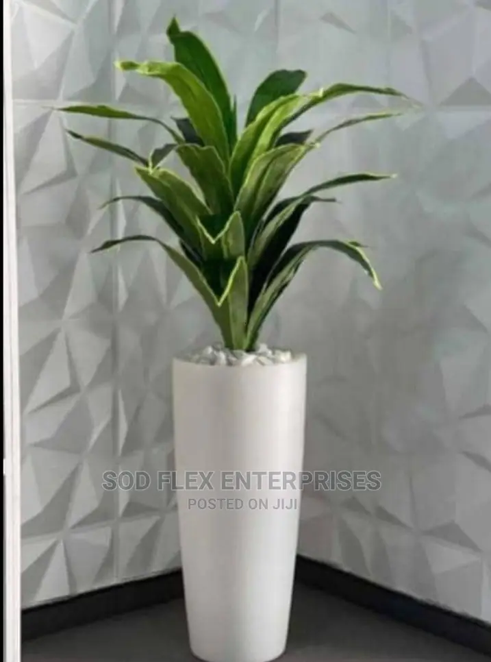 Flower Pot With Flower
