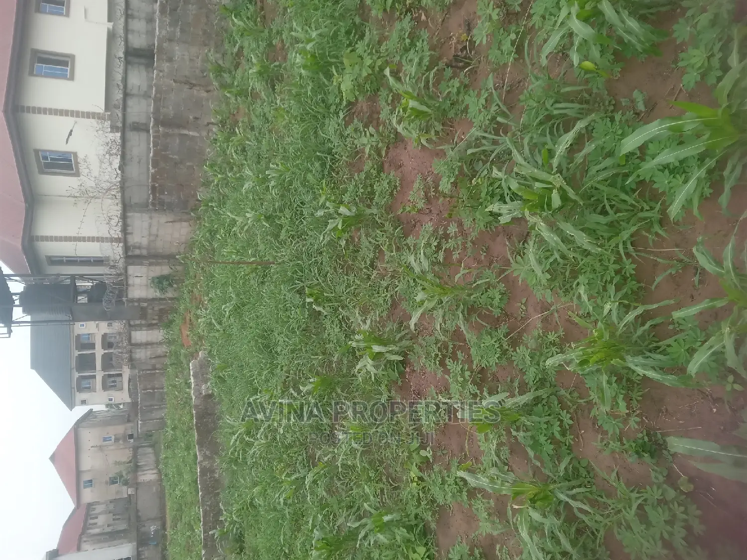 Already Fence Plot of Land at Avina Properties Owerri