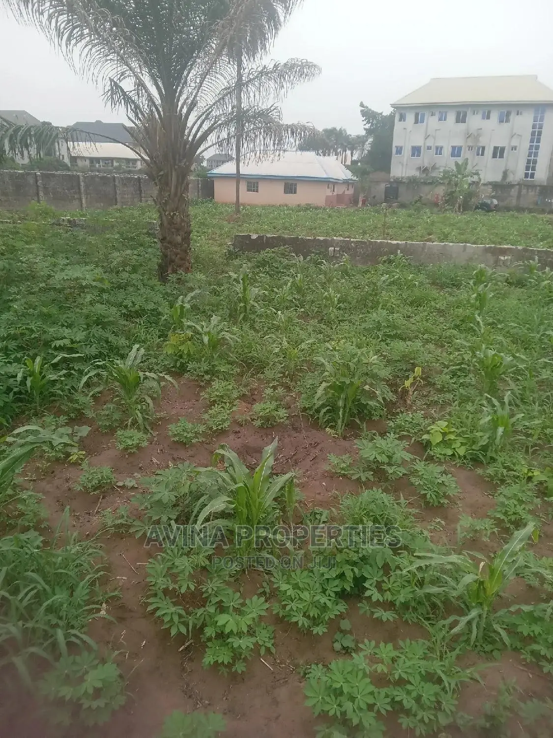 Already Fence Plot of Land at Avina Properties Owerri