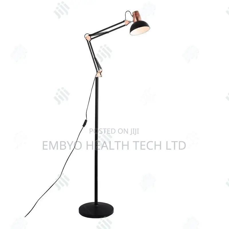 Angel Poise Lamp