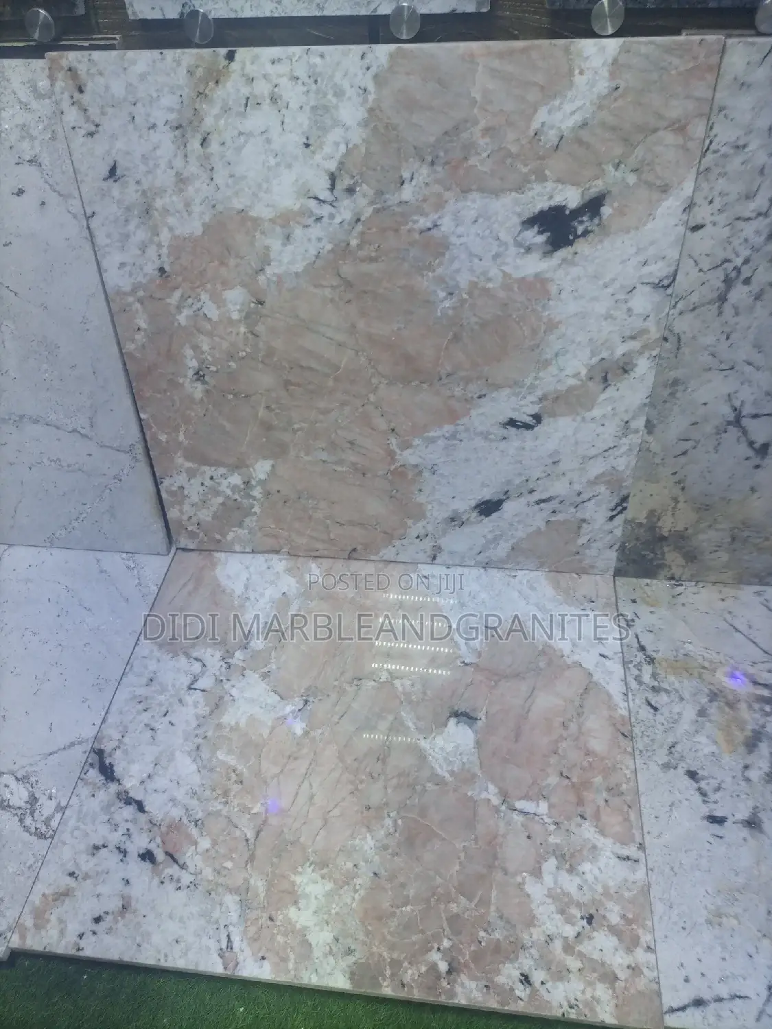 Alaska Family Tiles