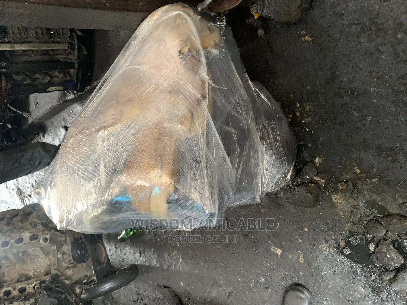 Dealer in All Kinds of Ford Engines